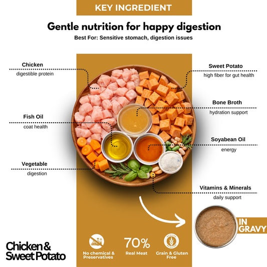 Chicken & Sweet Potato