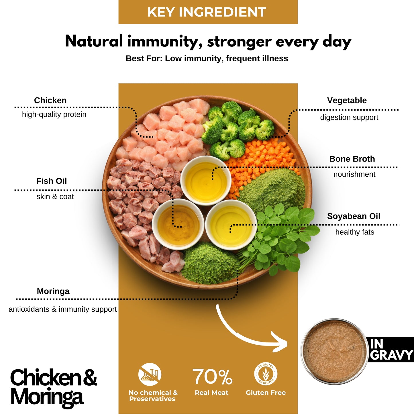 Chicken & Moringa