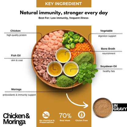 Chicken & Moringa