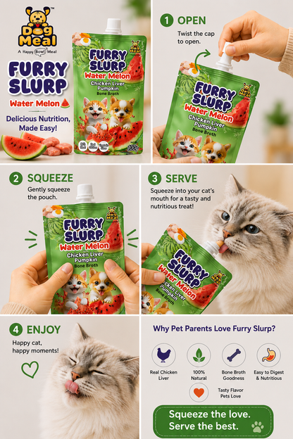 Creamy Furry Slurp for Cats with 80% Real Meat, Hydration with Nutrition Treat for Cats and Dogs, Real Chicken Bone Broth, Alphonso Mango, Coconut, Strawberry, Watermelon, 100g Each