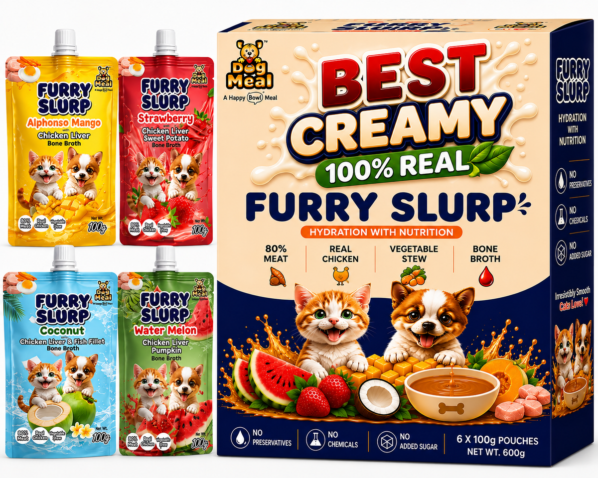 Creamy Furry Slurp for Cats with 80% Real Meat, Hydration with Nutrition Treat for Cats and Dogs, Real Chicken Bone Broth, Alphonso Mango, Coconut, Strawberry, Watermelon, 100g Each