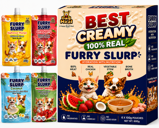 Creamy Furry Slurp for Cats with 80% Real Meat, Hydration with Nutrition Treat for Cats and Dogs, Real Chicken Bone Broth, Alphonso Mango, Coconut, Strawberry, Watermelon, 100g Each